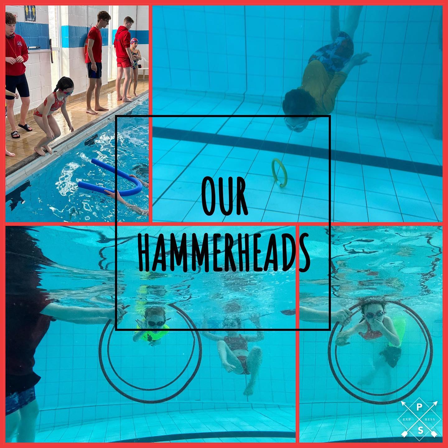 SharkSquad-our-hammerheads